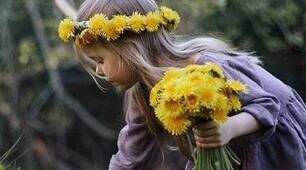 Десь дітки віночки плетуть  З кульбаби, із жовтої квітки.