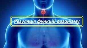 Регуляція функцій організму людини.