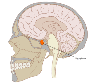 0402vo18-245e-293x269.png