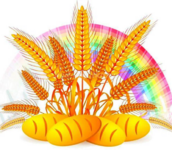 0402vpeh-acc9-172x150.png