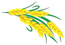 0402vpg8-3f2f-267x187.png