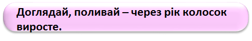 0402vpkp-1af5-490x81.png