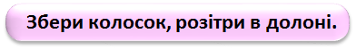 0402vplk-337b-392x56.png