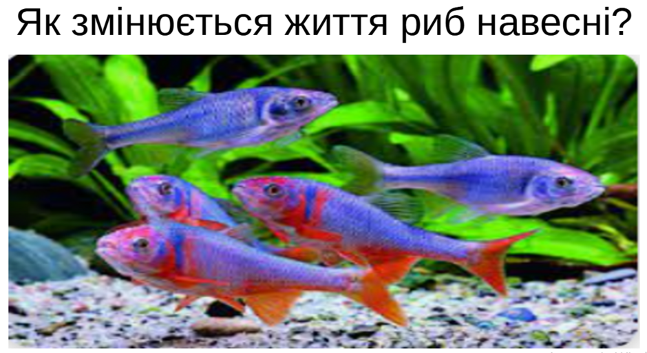 0402vr3k-cc44-940x513.png