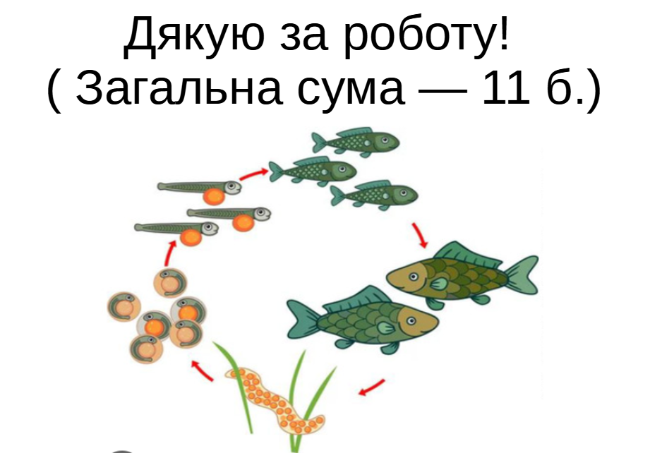 0402vr50-38e8-921x666.png