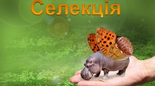 9 клас Селекція