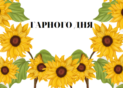 0402vsi2-eb84-432x310.png