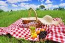 Your Eco-Friendly Picnic
