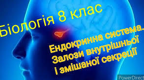 Самостійна робота з теми "Залози внутрішньої секреції"