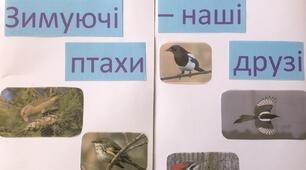 лепбук "Зимуючі птахи - наші друзі"