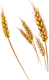0402vv8z-702e-222x364.png