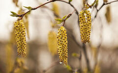 0402vv9n-18d8-240x150.jpg