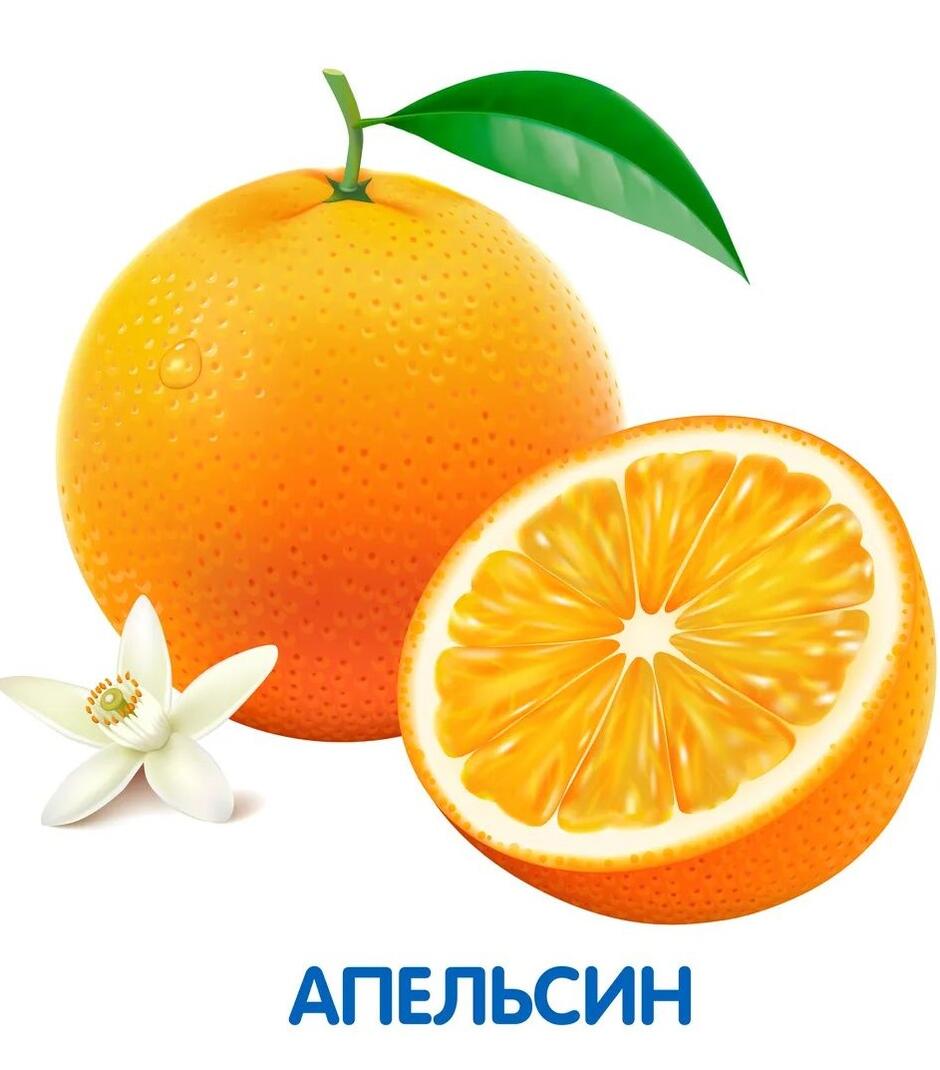 0402vvjx-f8ec-940x1070.jpg