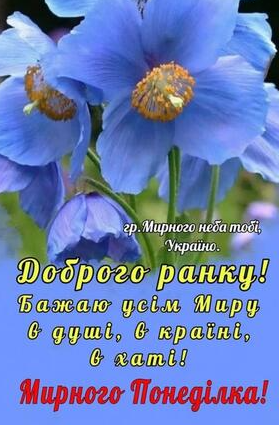 0402vym1-a036-279x425.png