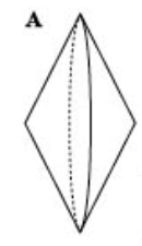 0402vyqf-3bc5-130x225.png