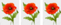 0402vysw-10fc-61x25.png