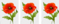0402vysx-2427-59x24.png