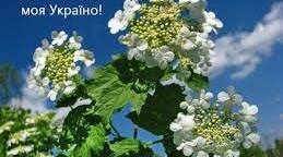 Вони мене не вбили - я живу,