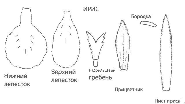 0402vzls-fd97-640x360.png