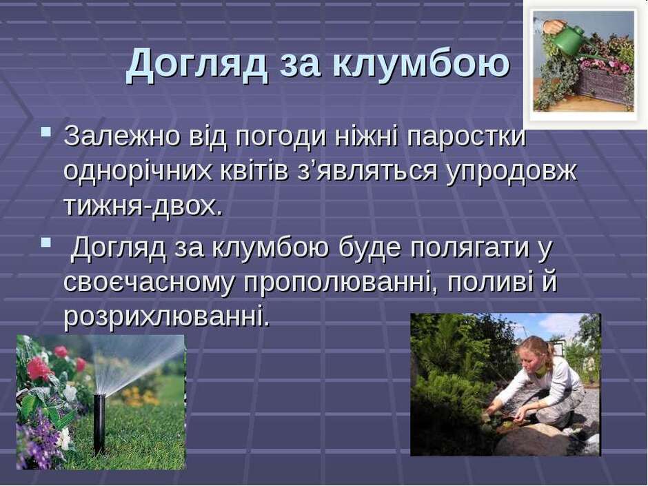 Технологія вирощування рослин (квітів) та догляд за ними - презентація з трудового навчання