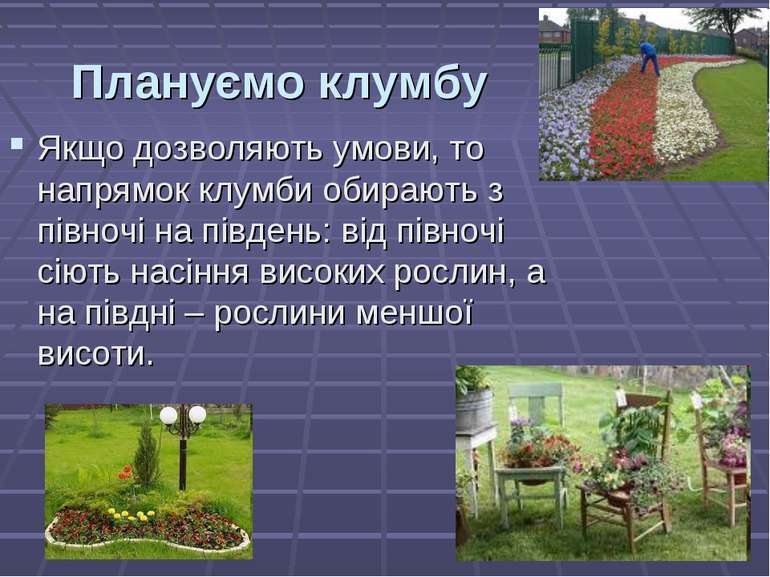 Технологія вирощування рослин (квітів) та догляд за ними - презентація з трудового навчання