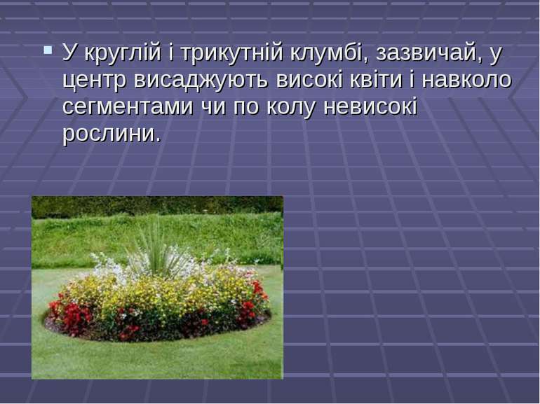 Технологія вирощування рослин (квітів) та догляд за ними - презентація з трудового навчання