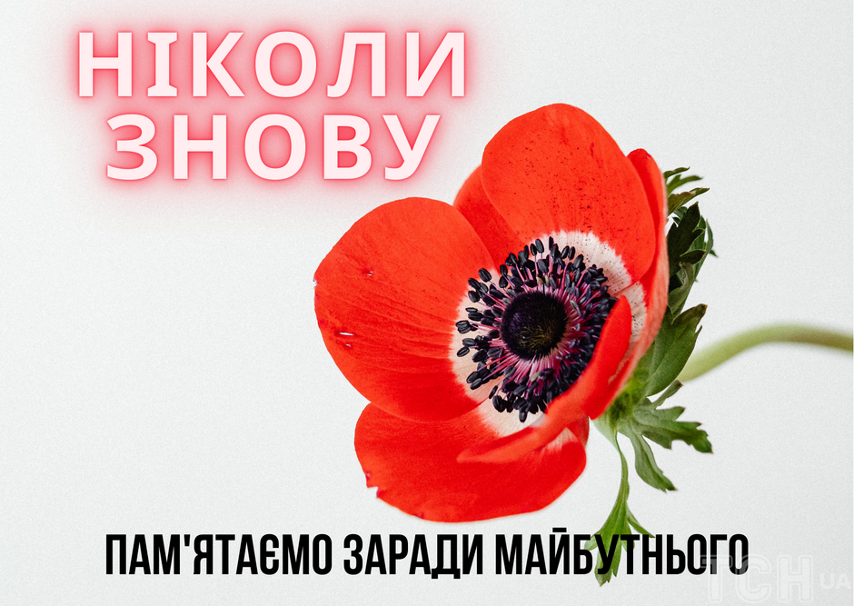 0402w1ji-2d9a-940x667.png