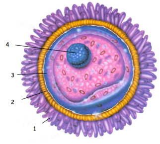 0402w1li-c9cf-322x290.png