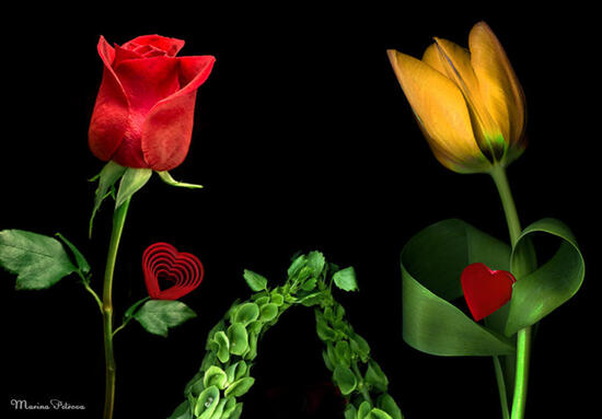 0402w2s9-c34e-550x383.jpg
