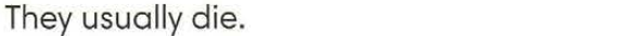 0402w3w8-bcbe-582x34.png