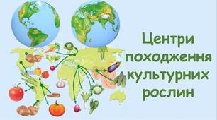 (Копія) Селекція, центри різноманітності та походження культурних рослин