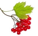 0402w57r-b07f-133x127.png