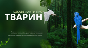 Презентація на тему: «Цікаві факти про тварин»