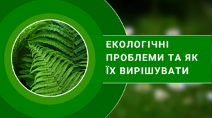 Презентація на тему: «Екологічні проблеми та як їх вирішувати»