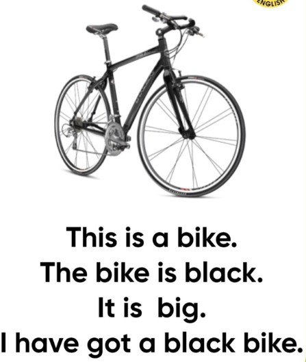 0402w903-47c7-447x529.png