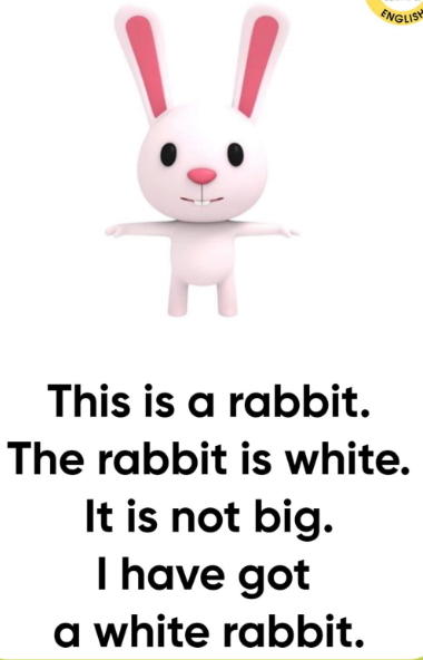 0402w921-b4f6-380x592.png