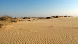 0402w9es-7129-268x150.jpg