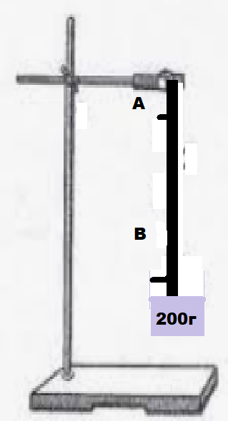 0402wa1e-3553-319x590.png
