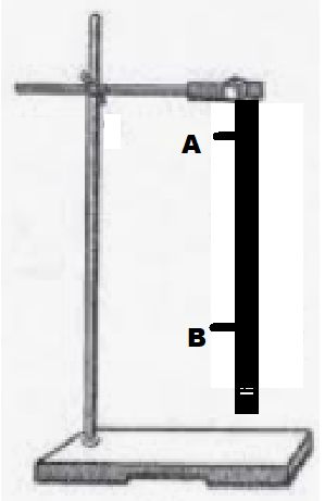 0402wa7m-af10-299x461.png