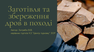Презентація "Заготівля, збереження та розпалювання дров"