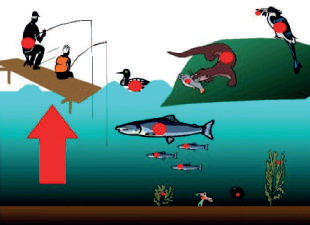 0402wbp9-6bf5-310x225.png