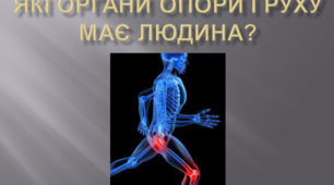 Опора і рух людини