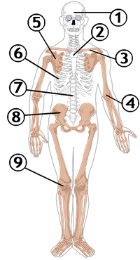 0402wdo2-0569-200x370.png