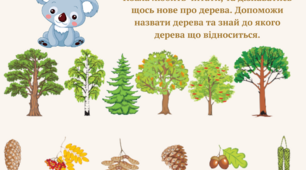 Моніторинг знань дітей середньої групи