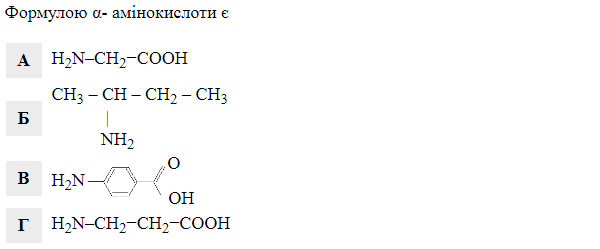 0402wgos-3353-600x249.png