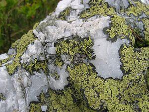 0402wgth-9e45-300x225.jpg