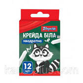 Крейда біла квадратна 12 шт Zoo Land, 1Вересня: продаж, ціна у Києві. Канцелярська крейда від "КАНЦ ПЛЮС оптово-роздрібний магазин канцтоварів" - 1650263386