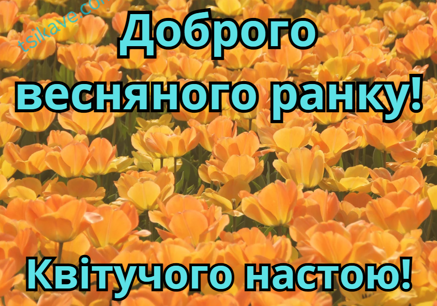Доброго весняного ранку картинки