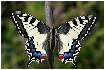 0402wiy5-ba4f-356x238.png