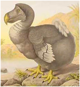 0402wj39-f40c-262x284.png